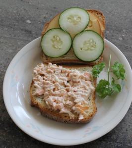 salmon sandwich comp IMG_3860