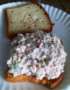 chicken-salad-img_20160821_095444494